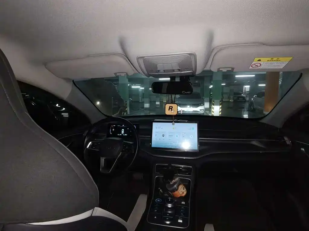 BYD Destroyer 05 2024 Glory Edition DM-i 55KM Luxury фото 5