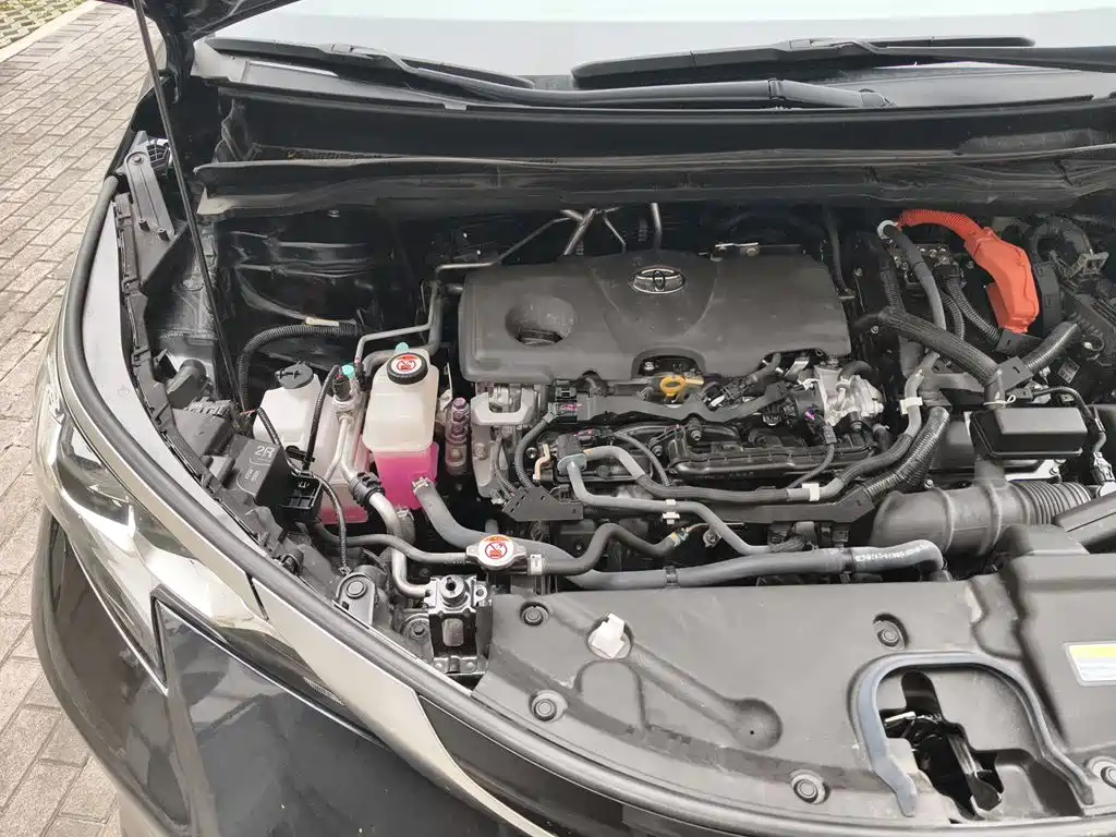 Toyota Sienna 2025 2024 2.5L Hybrid 4WD Premium Edition