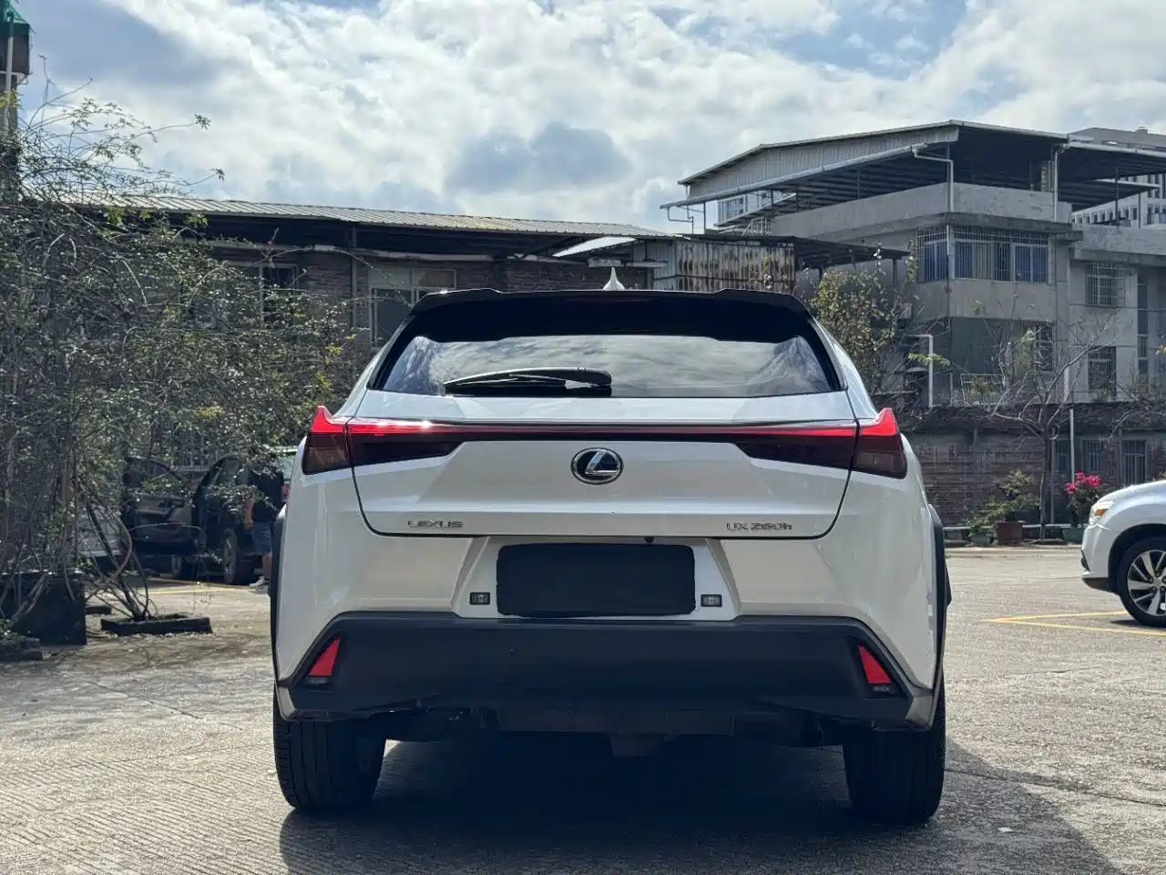 Lexus UX 2023 2022 260h Explore Edition
