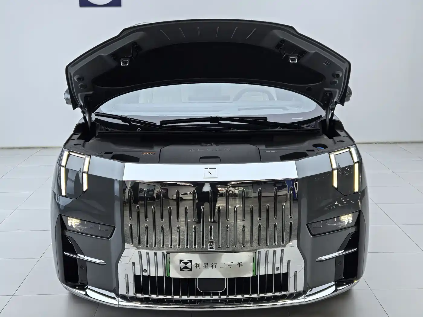 ZEEKR EXTREME KRYPTON 009