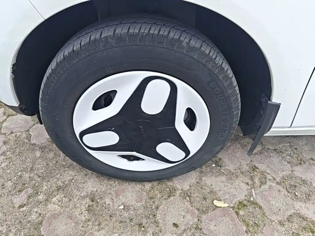 Geely Galaxy Panda 2025 2025 Panda mini 210km Vitality Bear