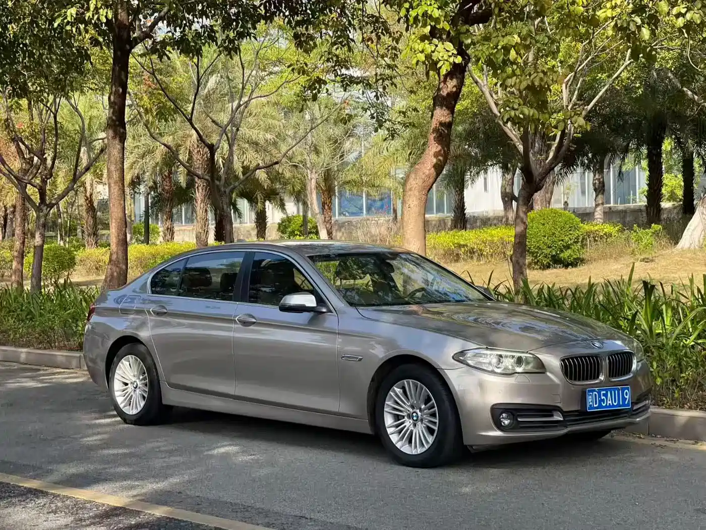BMW 5 Series 2014 525Li Leading фото 3