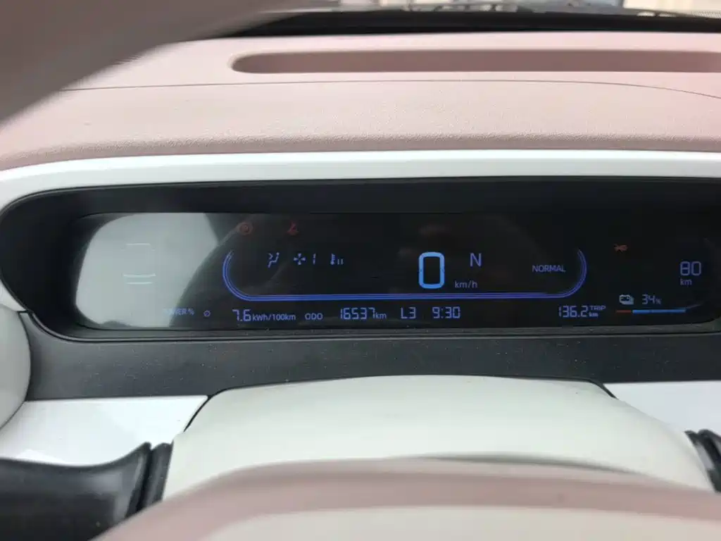 Geely Galaxy Panda 2026 2025 Panda mini 210km Vitality Bear