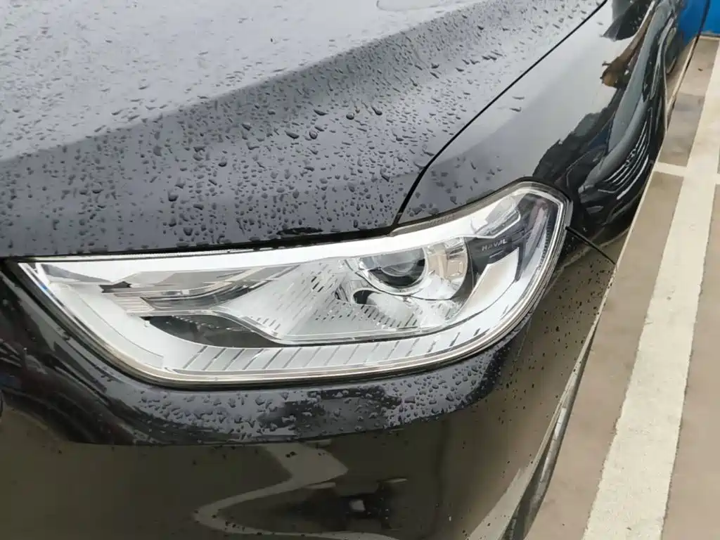 Фото 24 - Haval H2