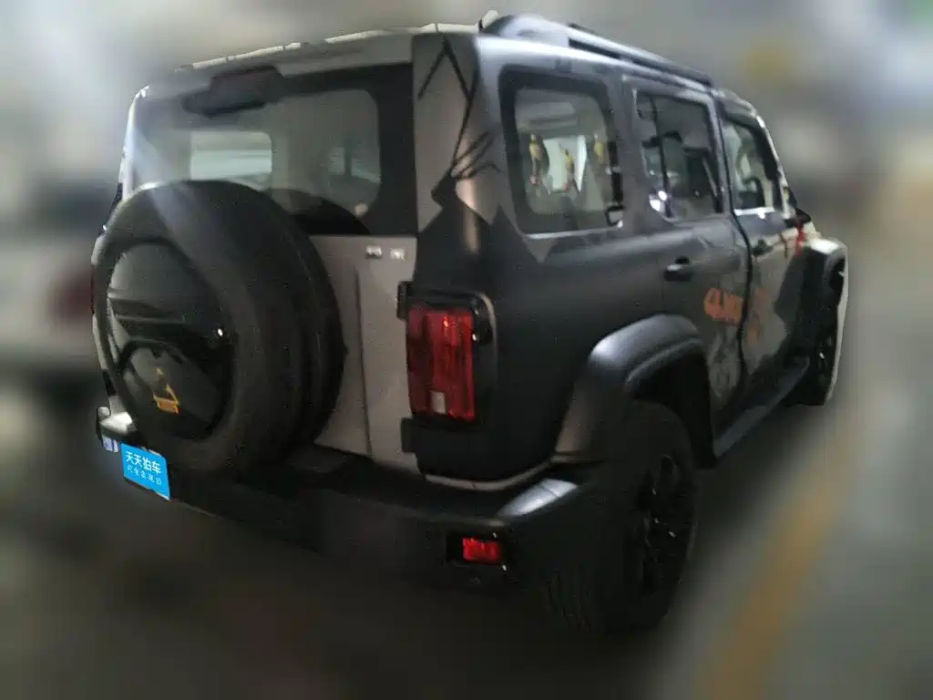 Tank 300 2021 2021 Off-road Version 2.0T Conqueror