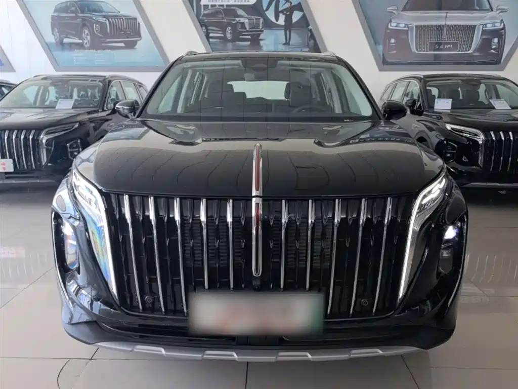 Hongqi HS7 PHEV 2024 2.0T PHEV 4WD Flagship Edition 6-seater фото 3