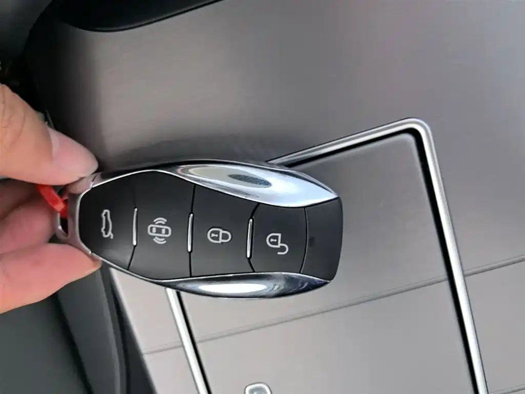 Hongqi HS7 PHEV 2024 2.0T PHEV 4WD Flagship Edition 6-seater фото 9