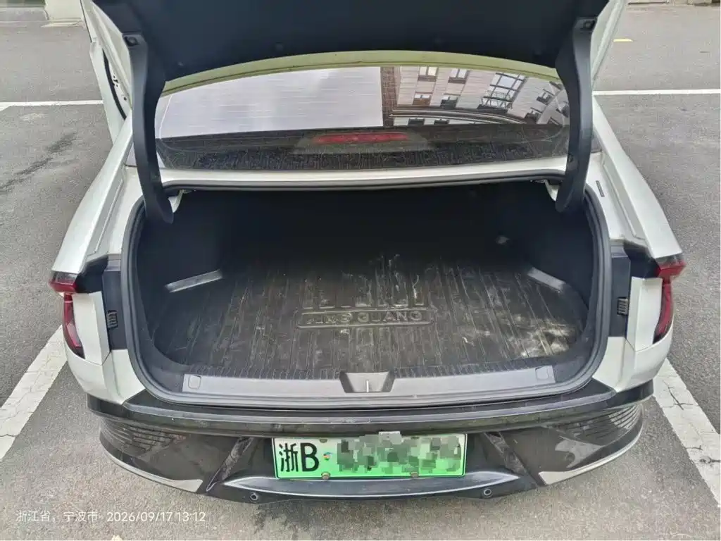 Wuling Motors Wuling E5 2024 2024 510km Standard Edition
