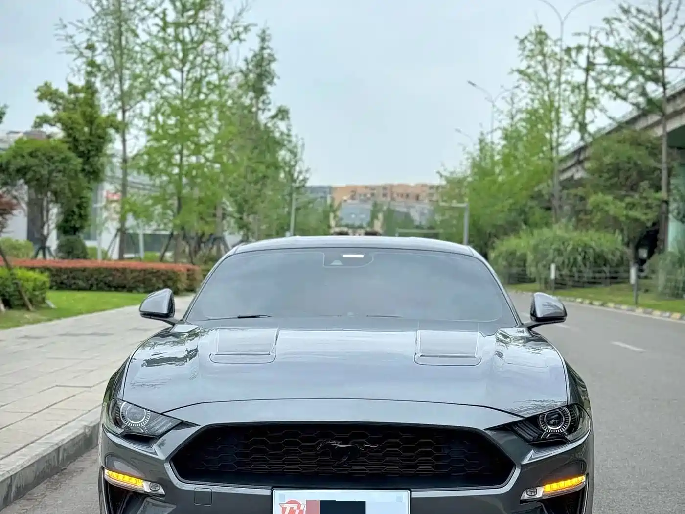 FORD MUSTANG