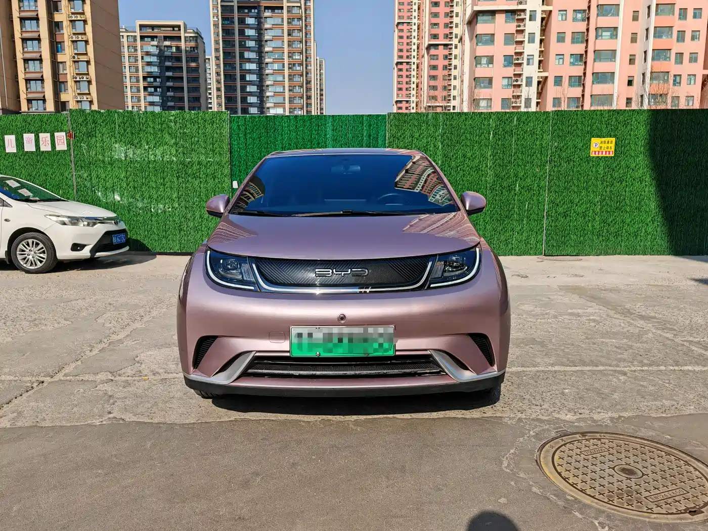 BYD Dolphin 2023 420km Freedom Edition фото 2