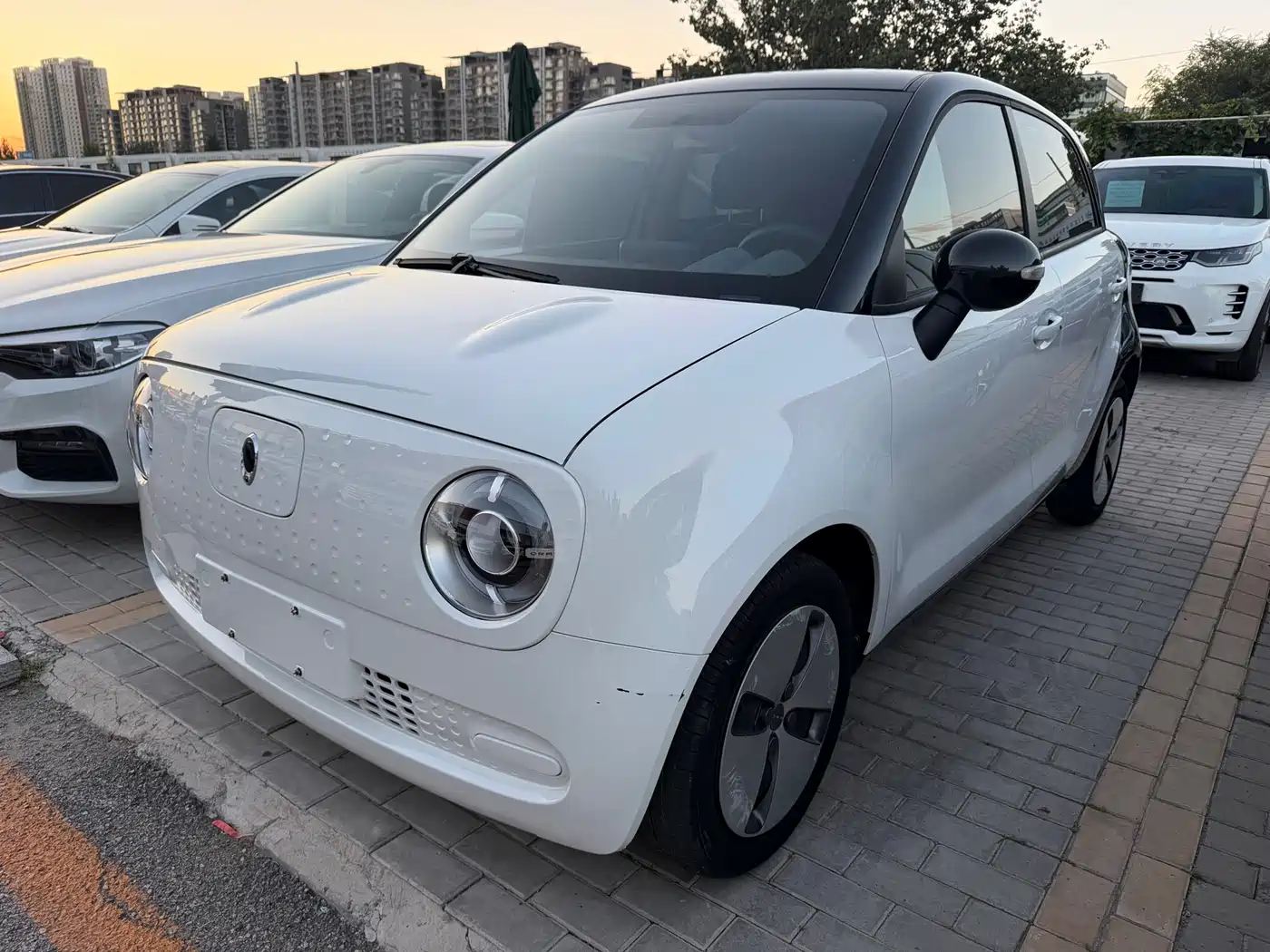 Ora Black Cat 2020 2021 301km Basic Model