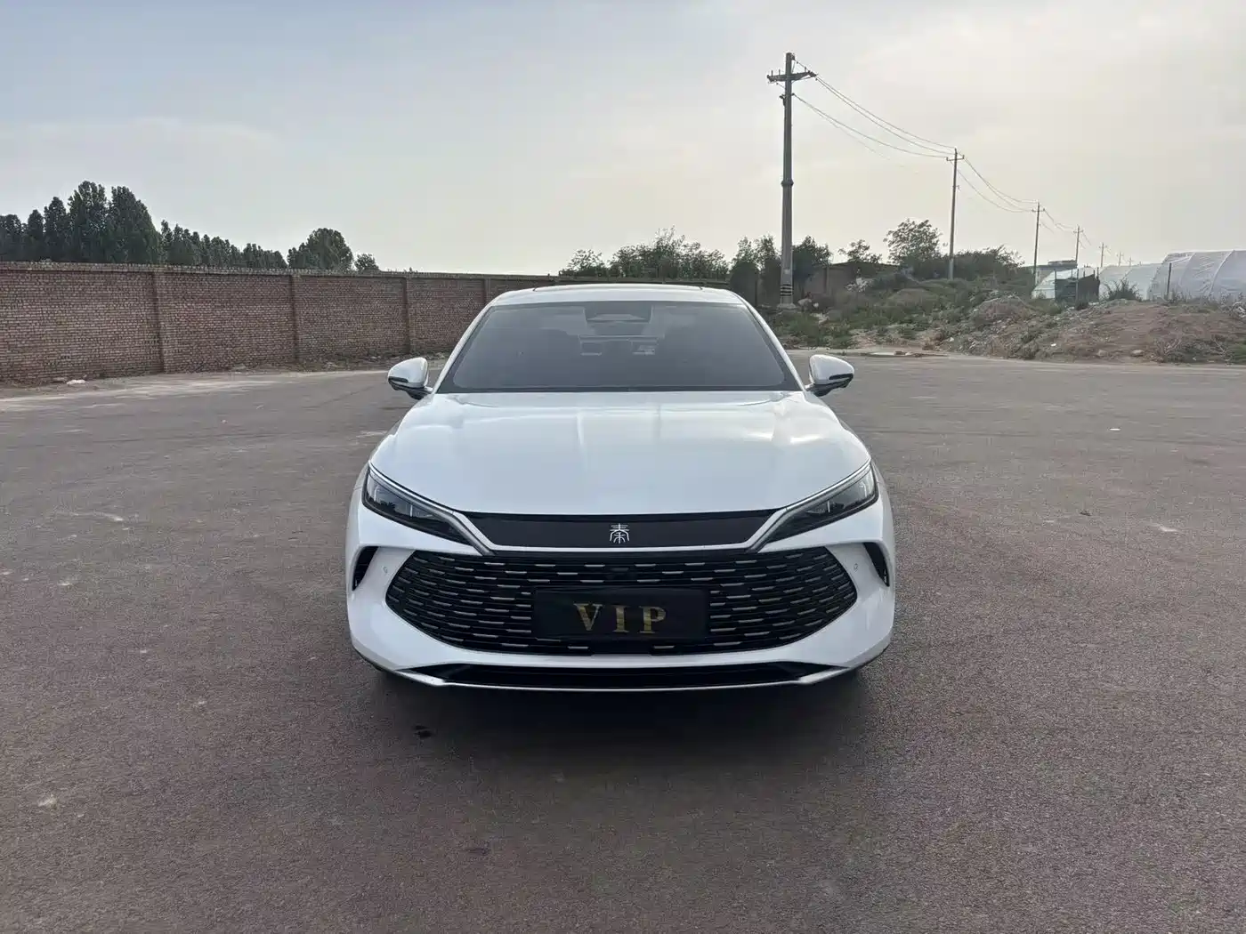 BYD Qin L 2026 Model DM-i 210KM Superior Edition фото 6