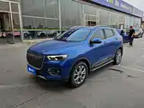 صورة 1 - Haval H2s