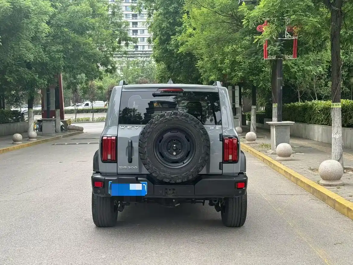 Tank 300 2021 2021 Off-road Version 2.0T Conqueror