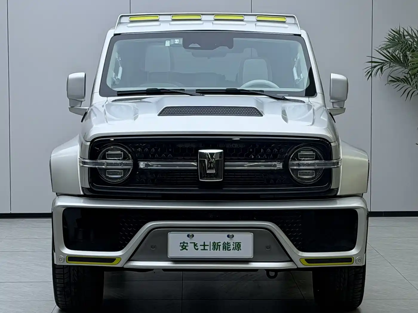 TANK CO CREATION TANK 300