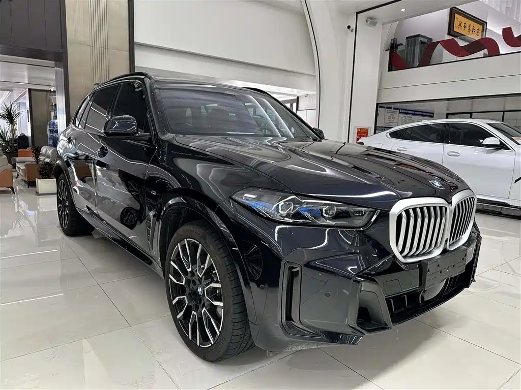 BMW X5 2023 xDrive 40Li M Sport Black Night Package фото 3
