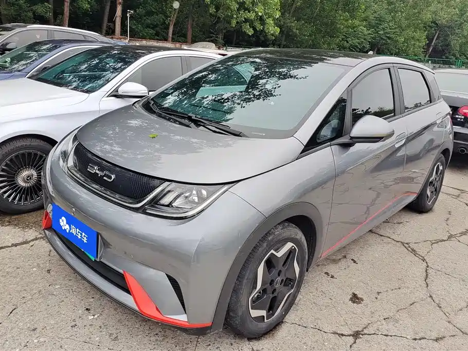 BYD Dolphin 2021 Model 405km Fashion Edition