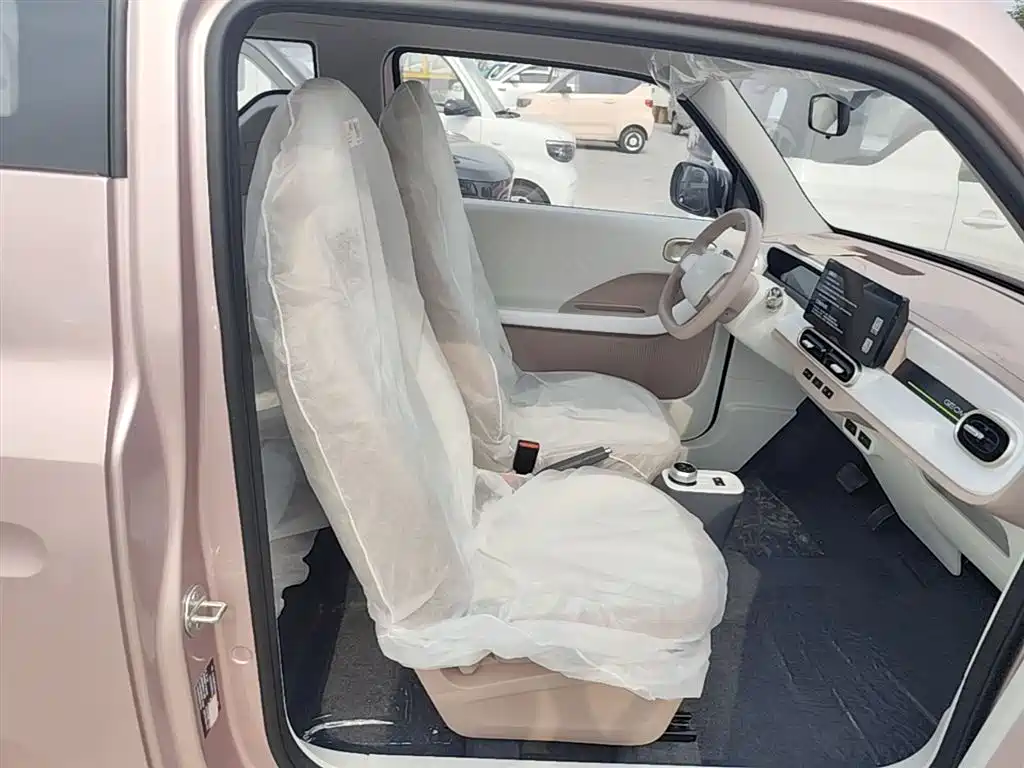 Geely Galaxy Panda 2025 Panda mini 210km Vitality Bear фото 25