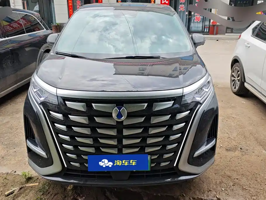 Denza D9 2022 DM-i 970 AWD Flagship фото 2
