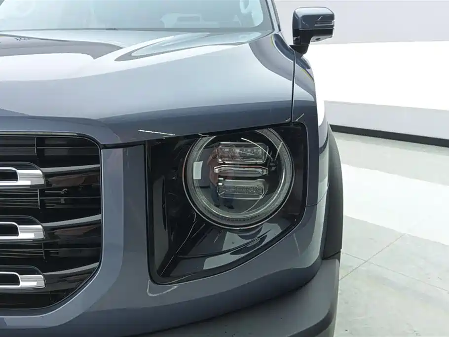 Haval Big Dog 2022 1.5T DCT FWD Border Collie Edition фото 5