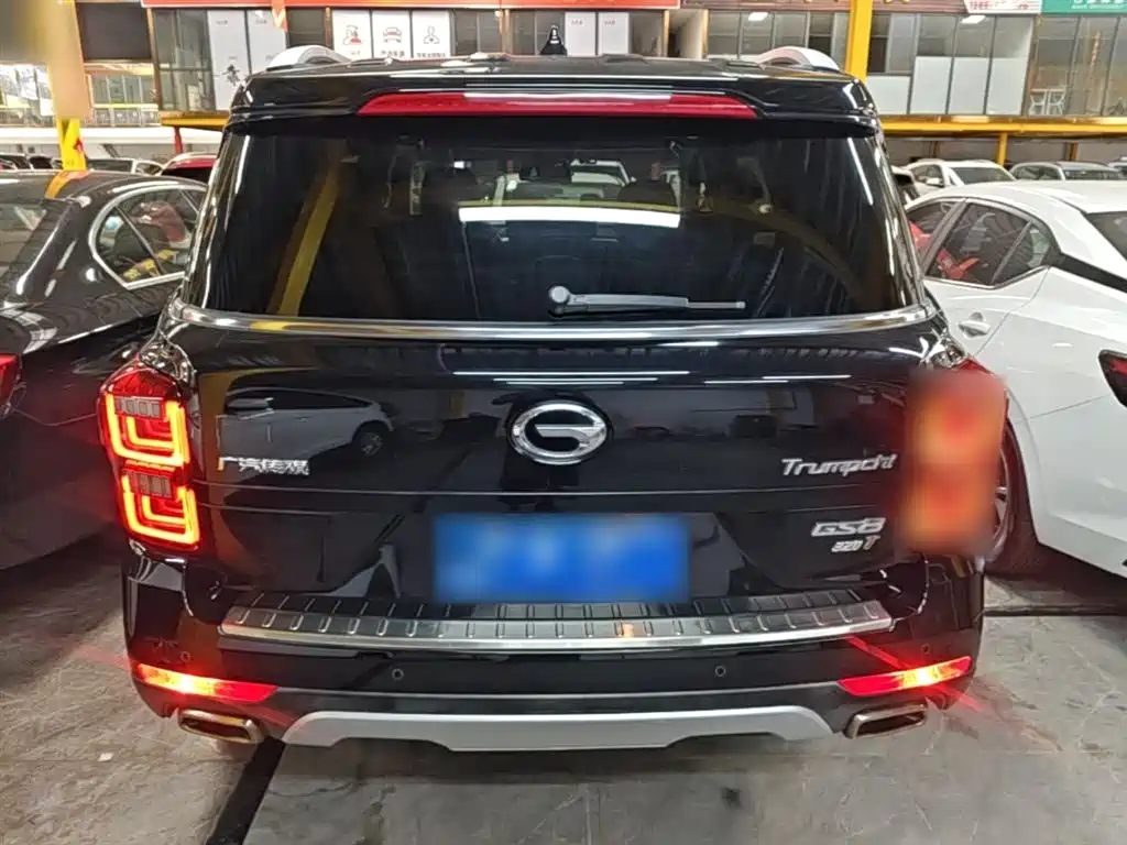 GAC Trumpchi Trumpchi GS8 2017 320T 2WD Luxury Smart Connect (7-seater) фото 6