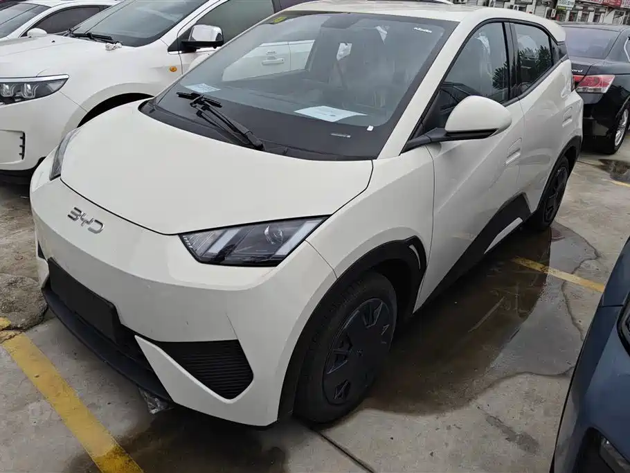 BYD Seagull 2025 305km Vitality