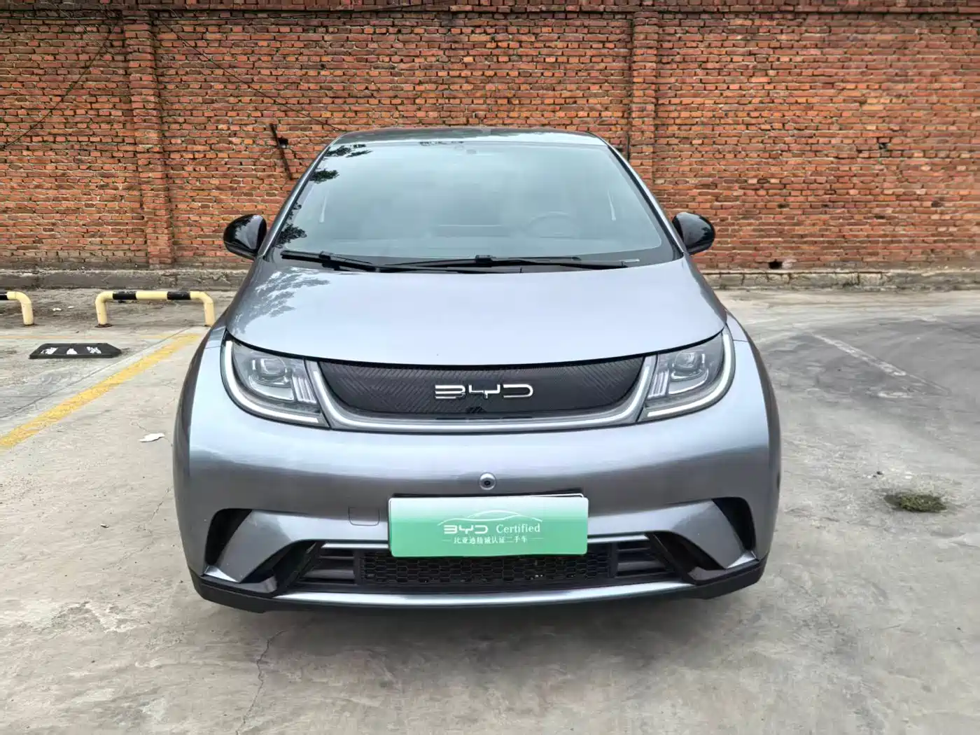 BYD Dolphin 2023 420km Freedom Edition фото 4
