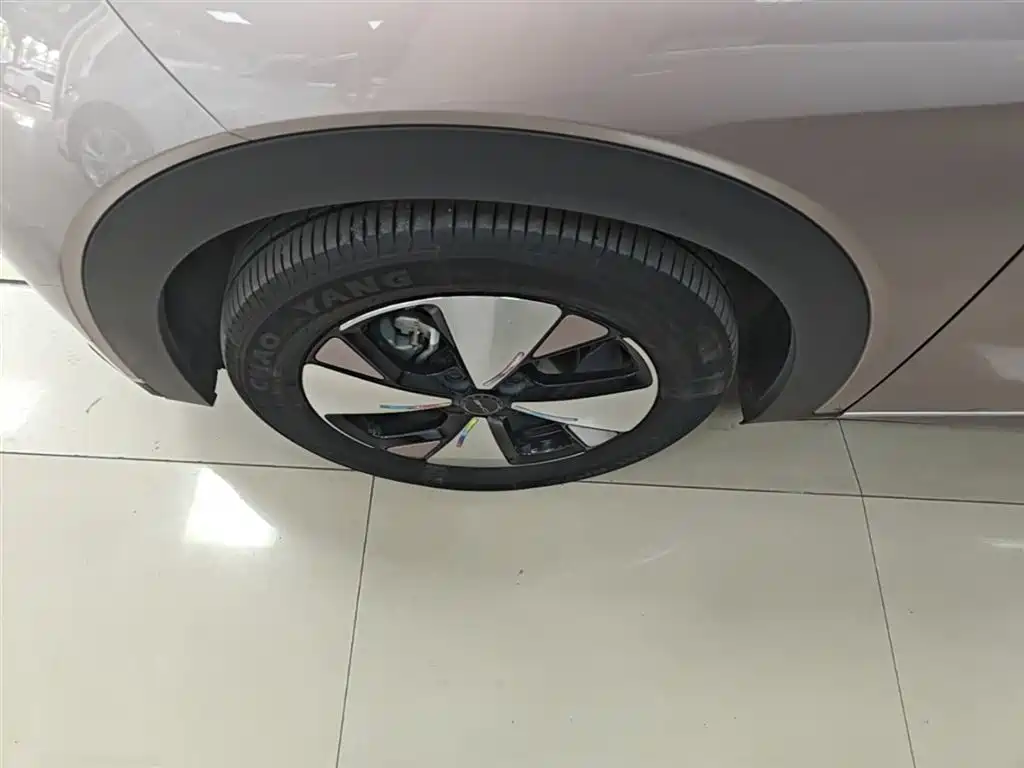 BYD Dolphin 2023 420km Fashion Edition фото 23