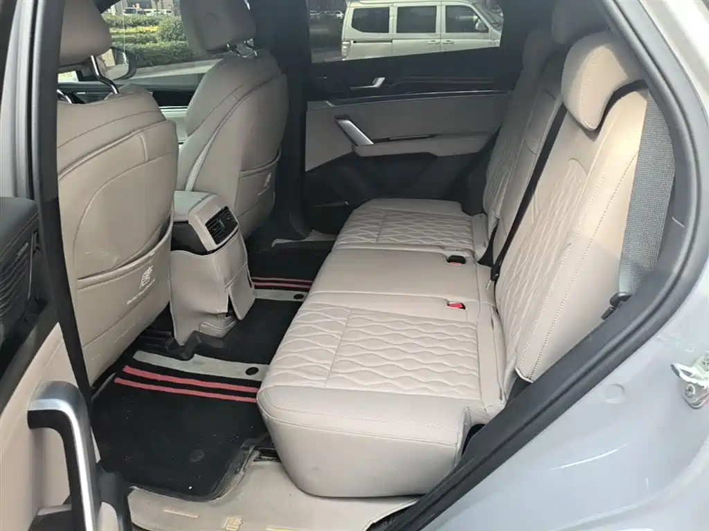 BYD Tang New Energy 2025 DM-i 115KM Flagship фото 17