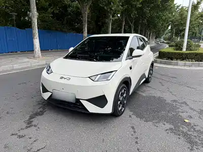 BYD Seagull