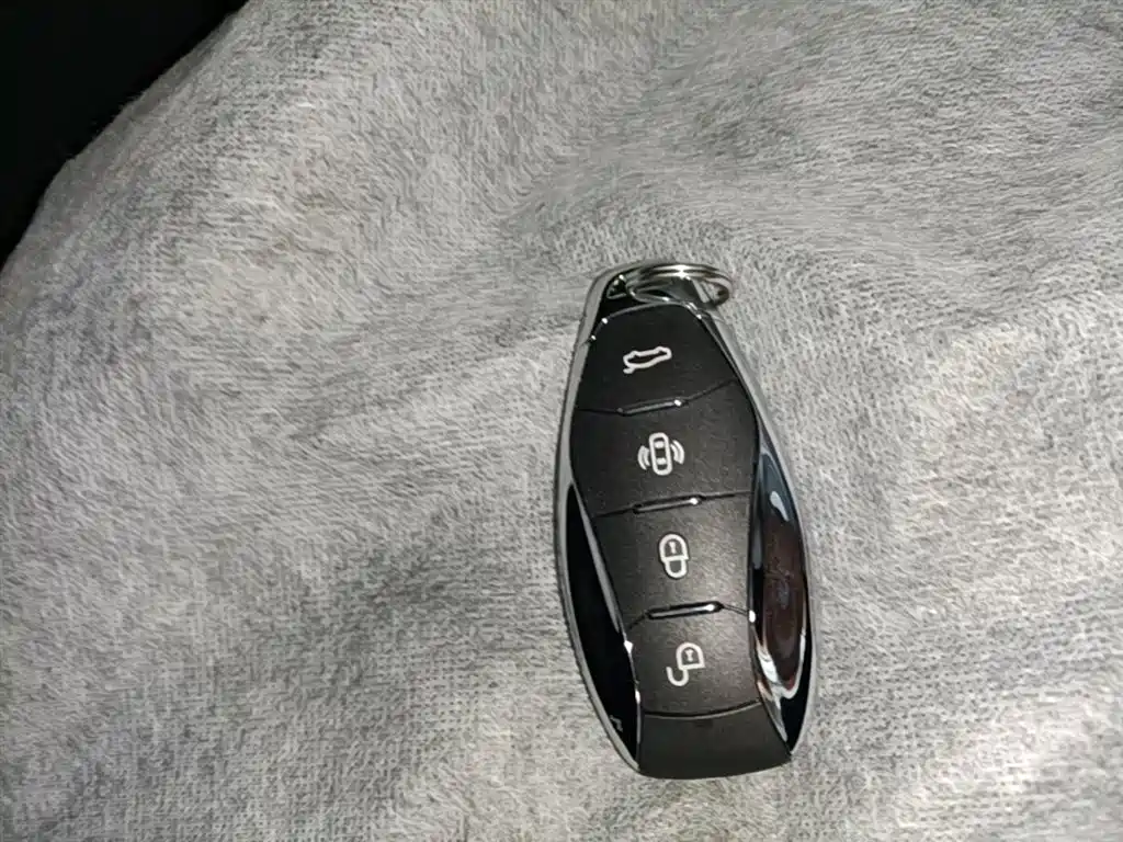 Hongqi HS3 PHEV 2025 PHEV 115km Power Edition фото 9