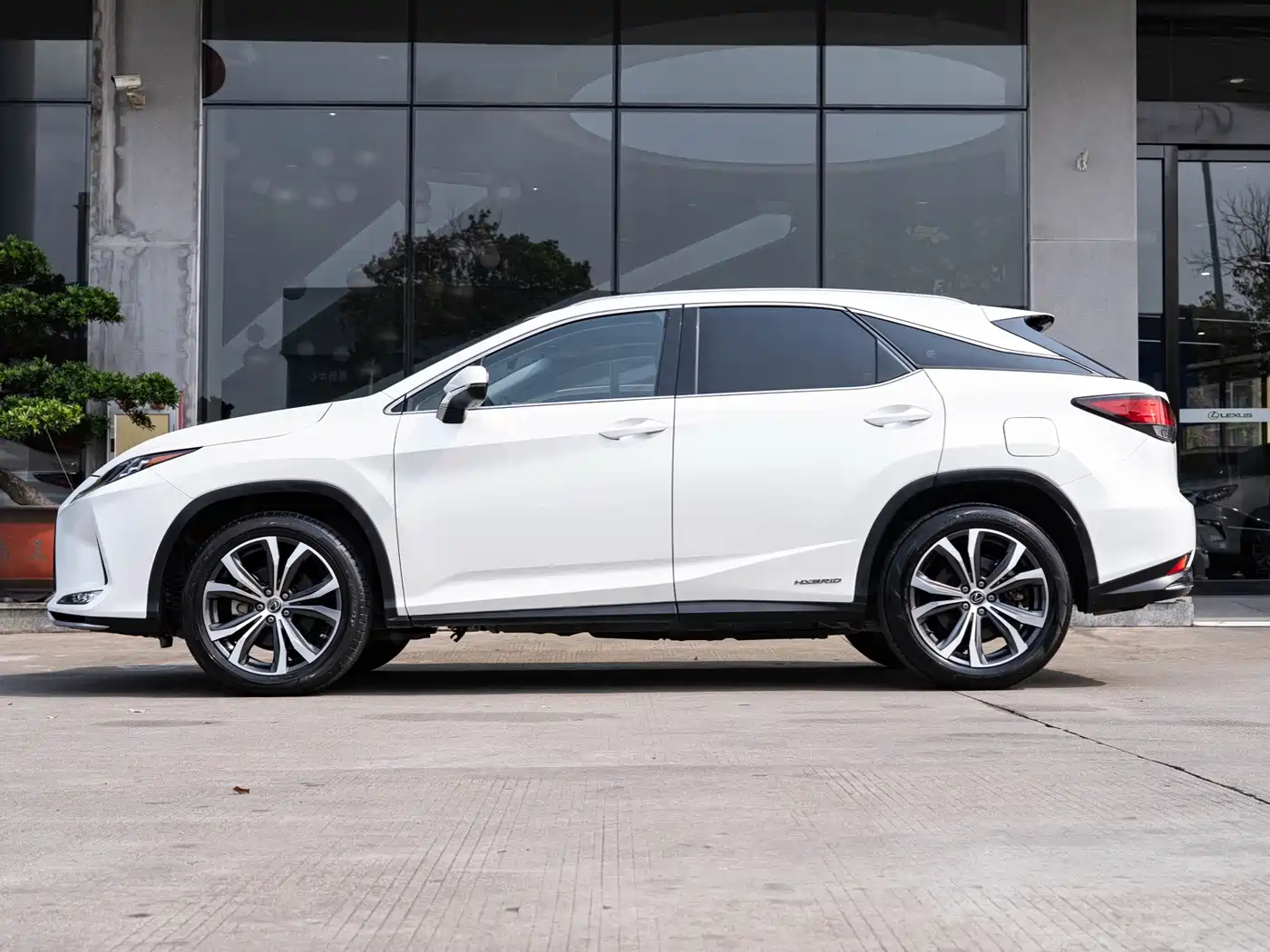 LEXUS RX