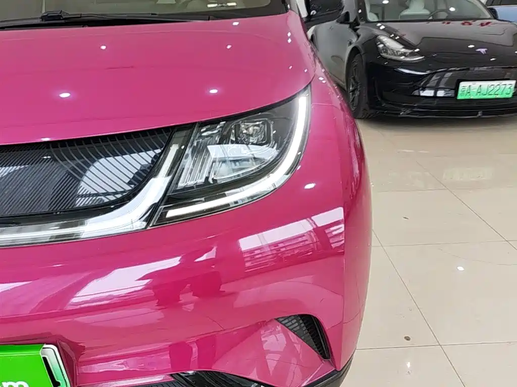 BYD Dolphin 2023 420km Fashion Edition фото 24