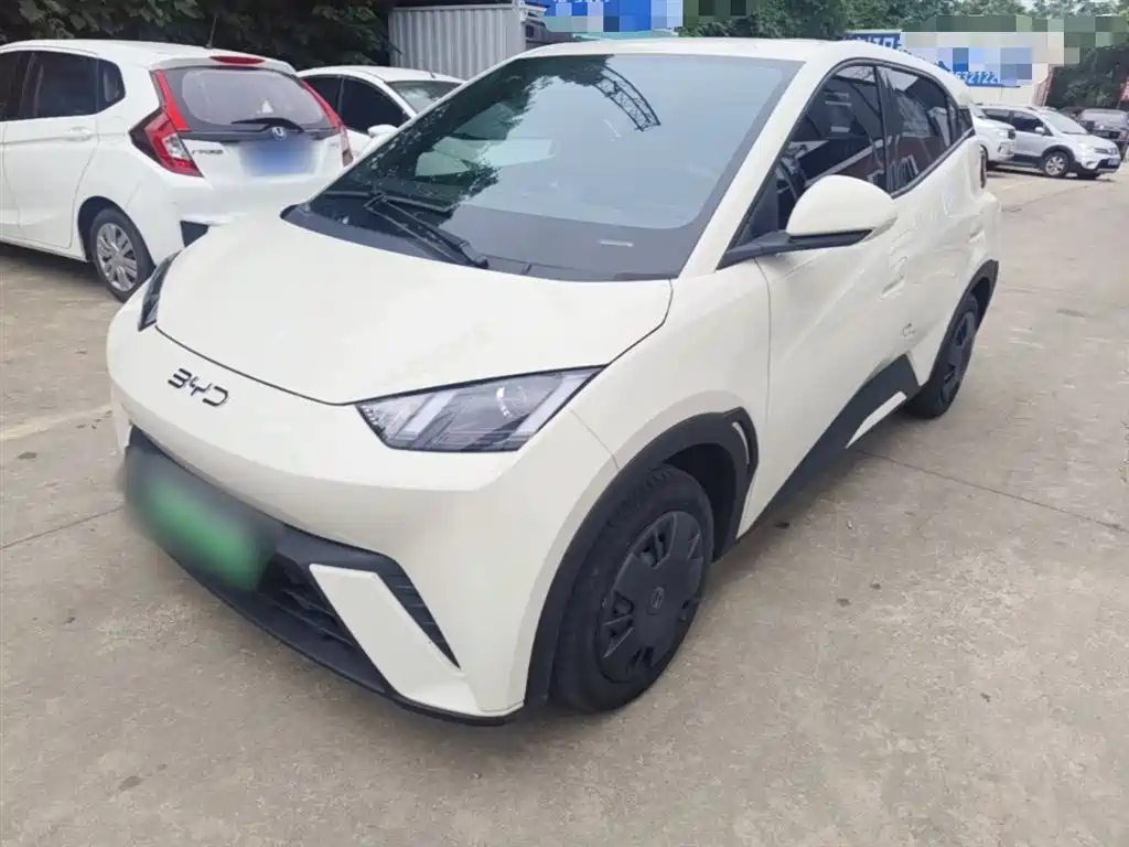 BYD Seagull 2024 Glory Edition 305km Vitality Edition
