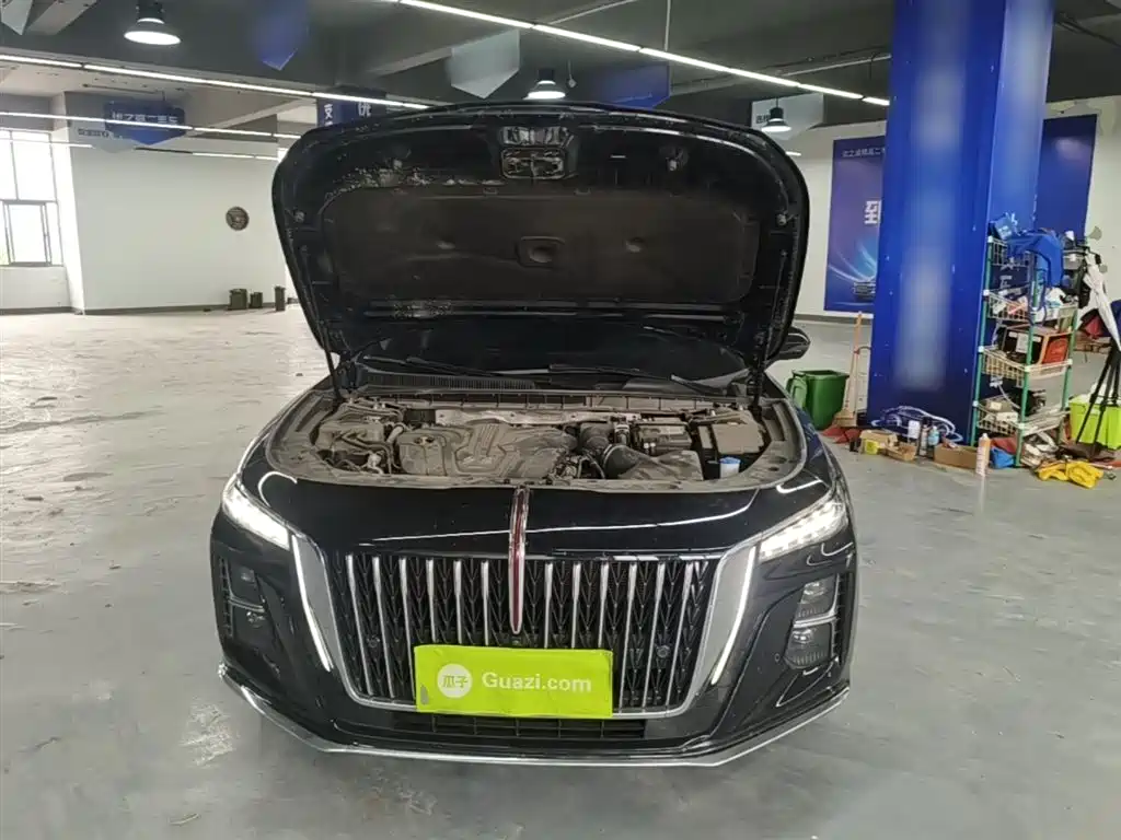 Hongqi H5 2024 2.0T Automatic Smart Connect Flag Smooth Edition фото 20