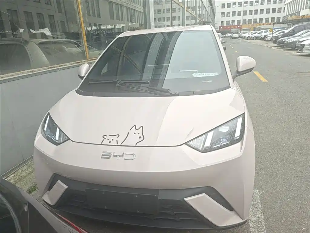 BYD Seagull 2024 Glory Edition 305km Freedom Edition фото 3