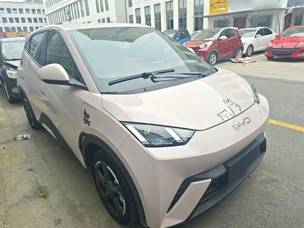 BYD Seagull 2024 Glory Edition 305km Freedom Edition фото 4