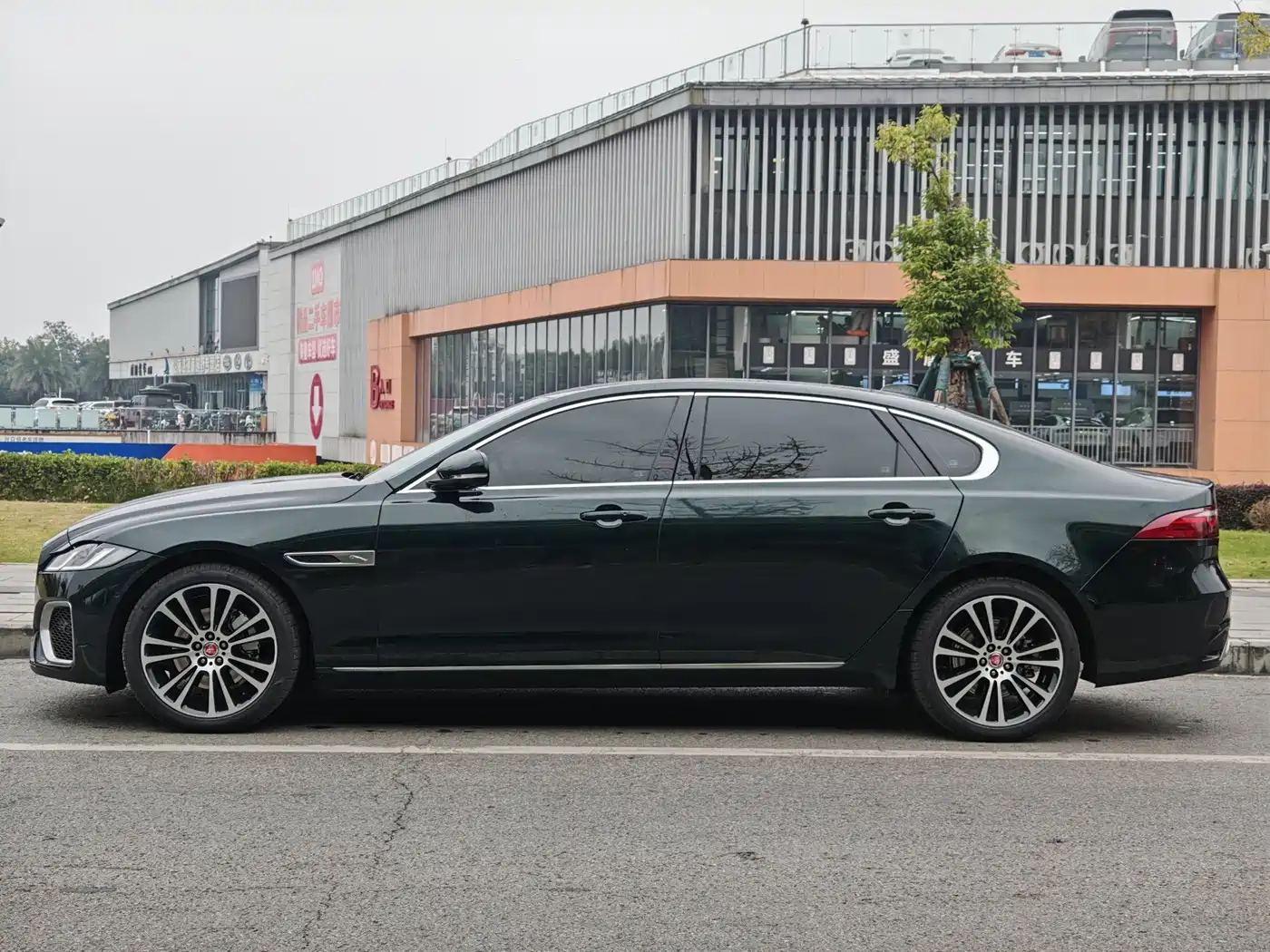 Jaguar XFL 2025 2024 2.0T P250 2WD Premium Luxury