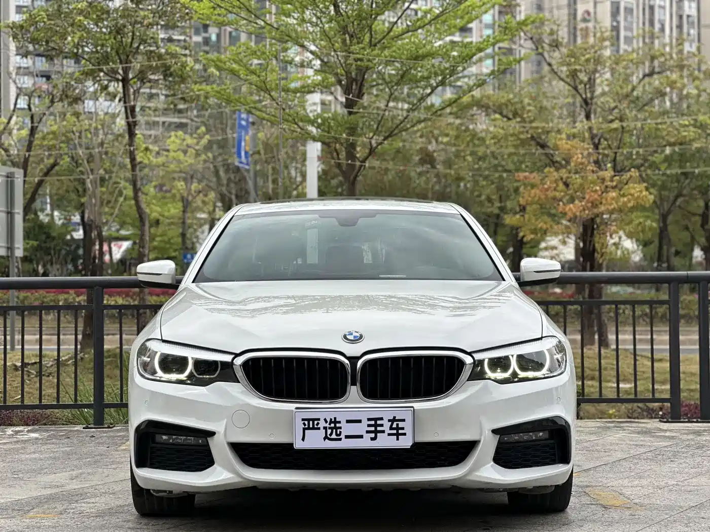 BMW 5 Series 2019 525Li M Sport Package фото 2