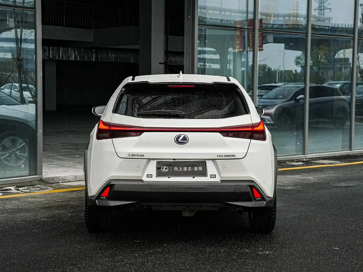 Lexus UX 2020 260h Explore Fun Edition China V фото 5