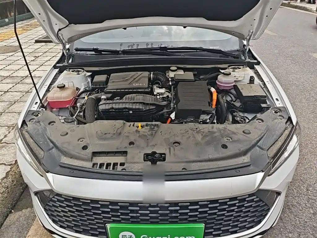 BYD Qin PLUS 2024 Glory Edition DM-i 55KM Leading фото 20