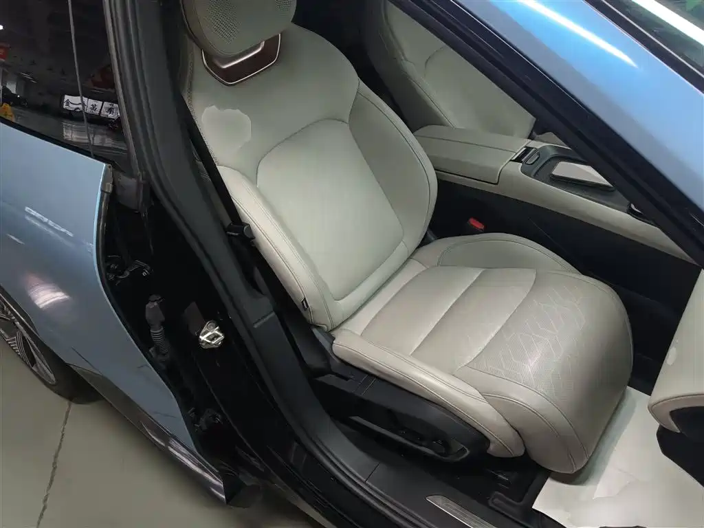Lynk & Co 08 EM-P 2023 220km 4WD Performance Halo фото 16