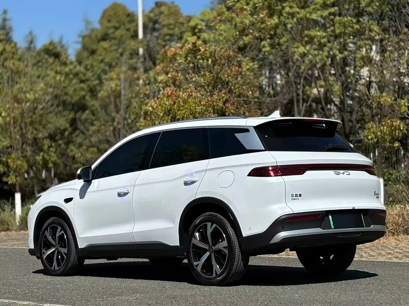 BYD SONGJIANG NEW ENERGY