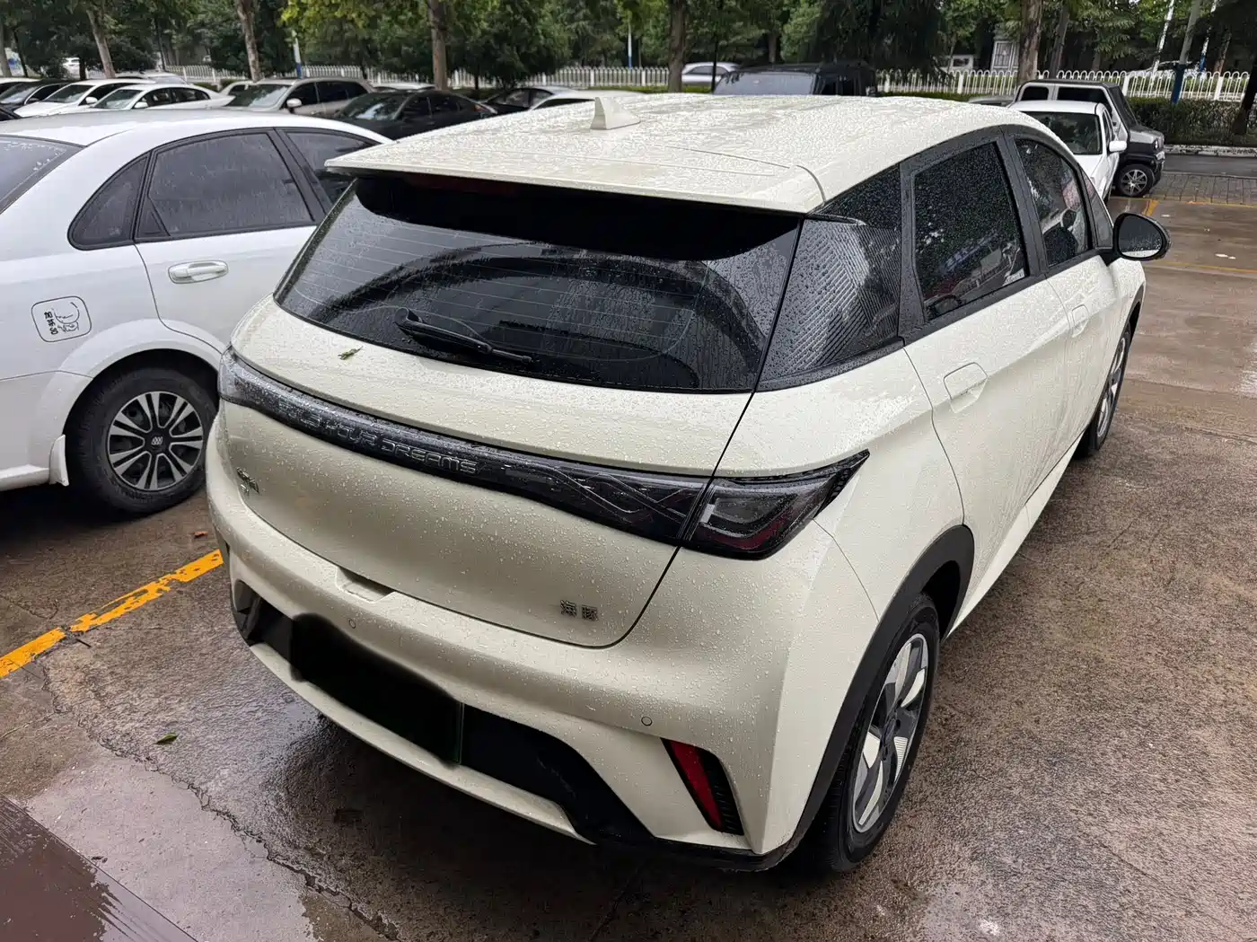 BYD Dolphin 2026 2025 420km Freedom Edition
