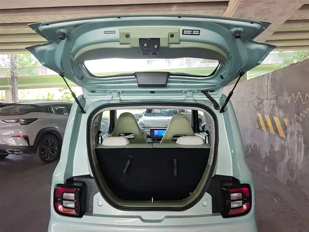 Geely Galaxy Panda 2025 Panda mini 210km Vitality Bear фото 19