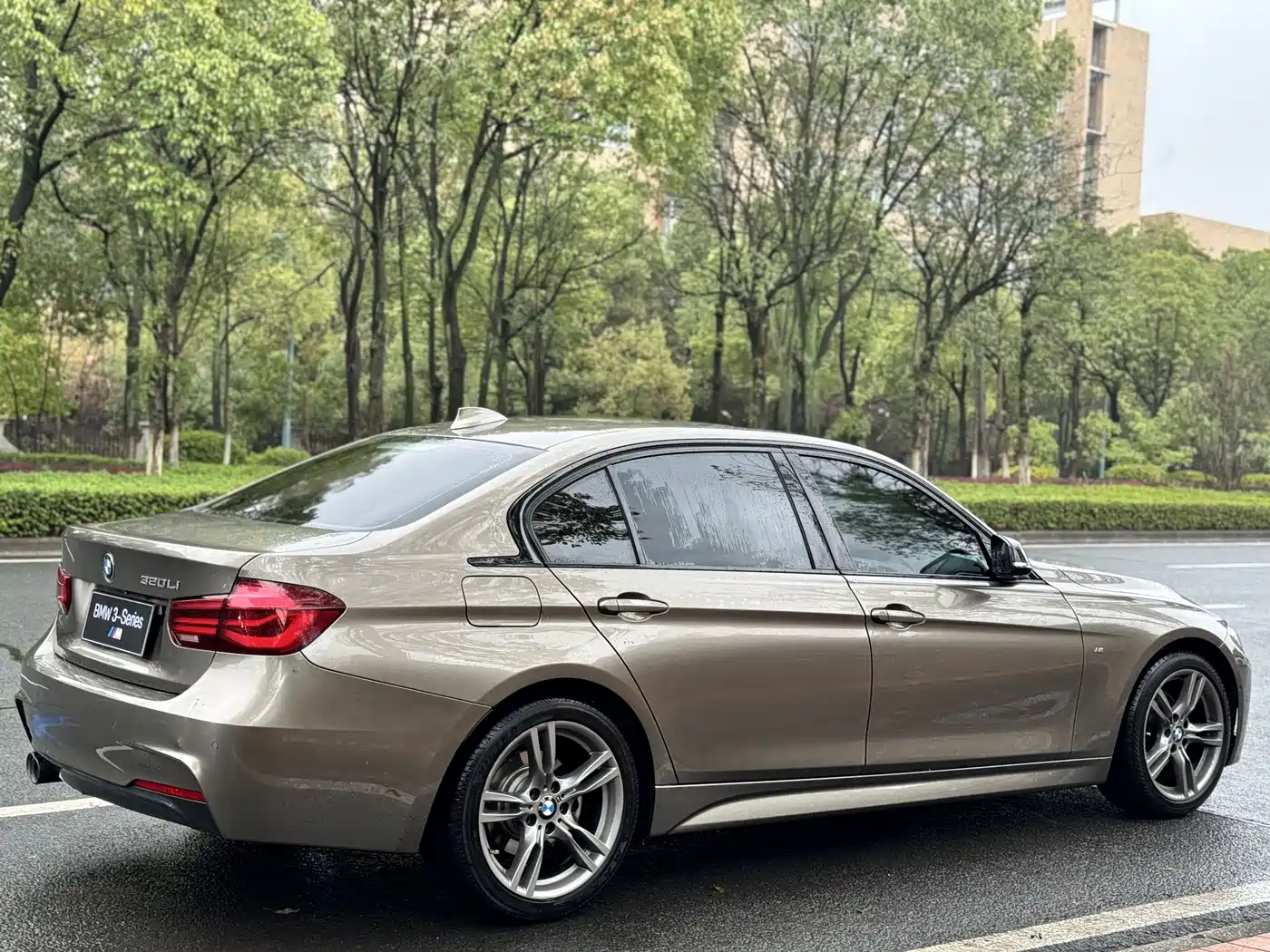 BMW 3 Series 2019 320Li M Sport Black Night Edition фото 7
