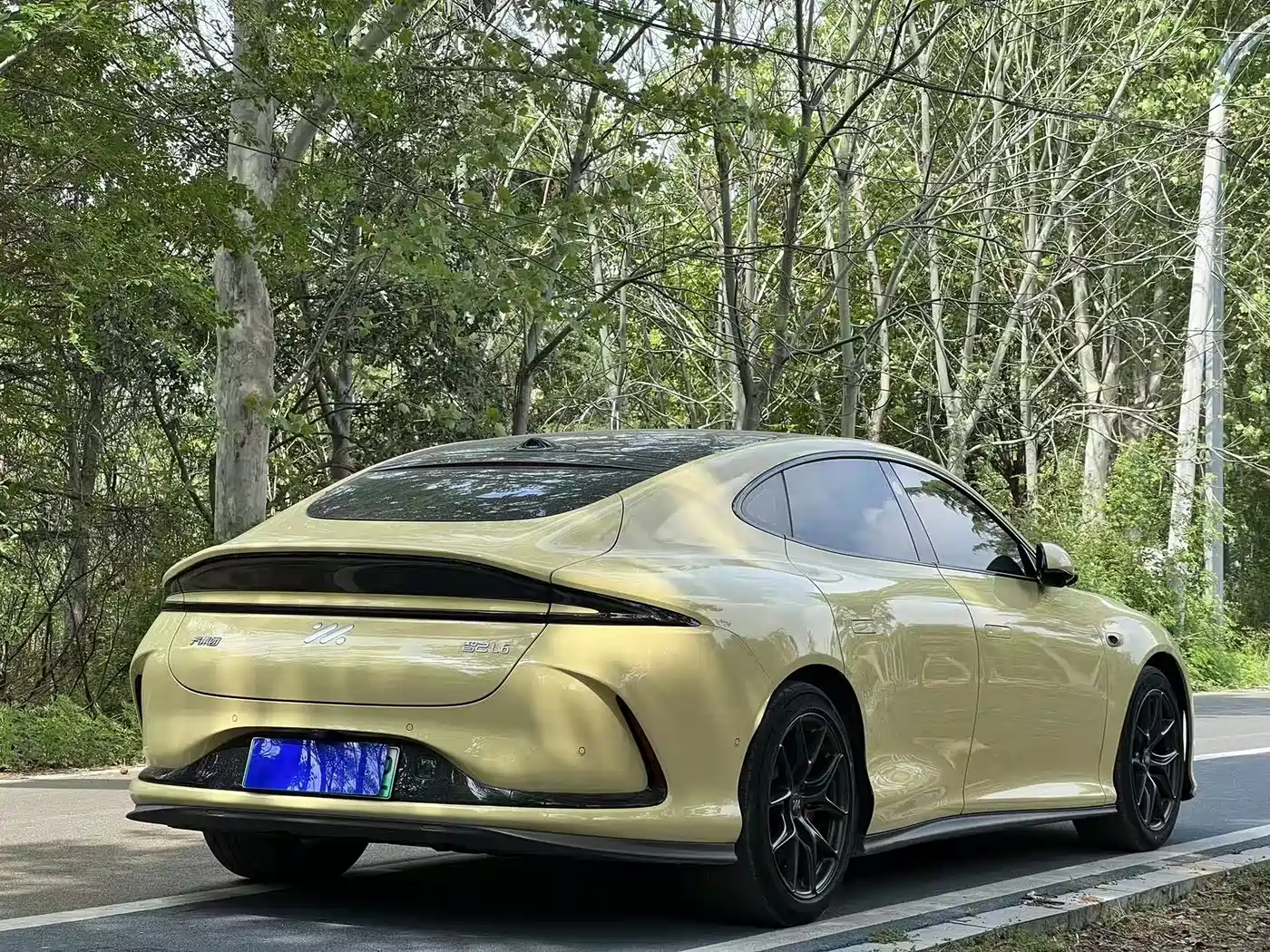 ZHIJI AUTOMOBILE ZHIJI L6