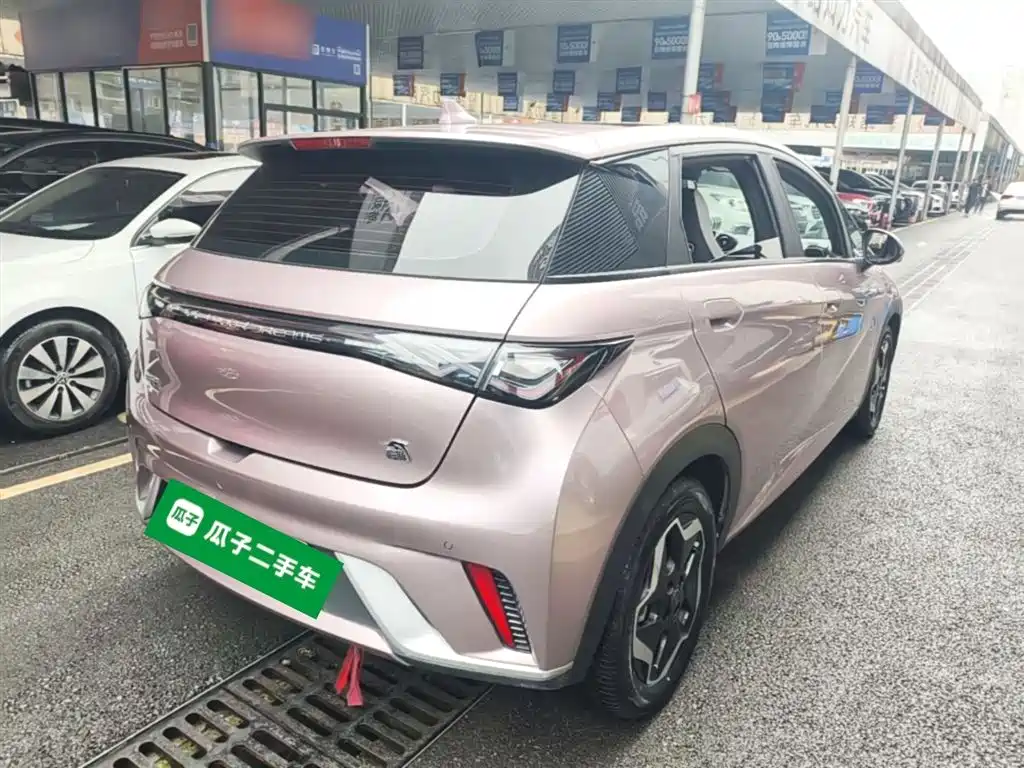 BYD Dolphin 2021 Model 405km Fashion Edition фото 7