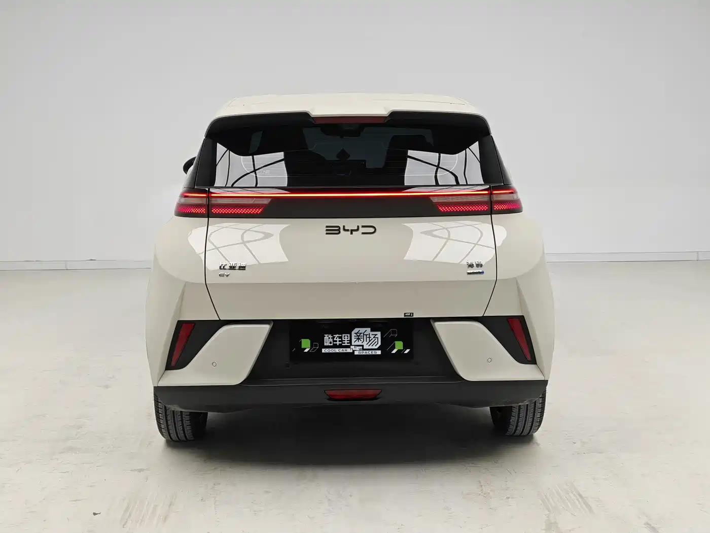 BYD Seagull 2026 2025 Smart Drive Edition 305km Freedom Version