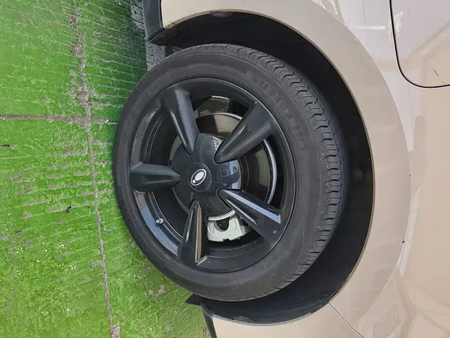 Ora Good Cat 2025 2024 401km Luxury